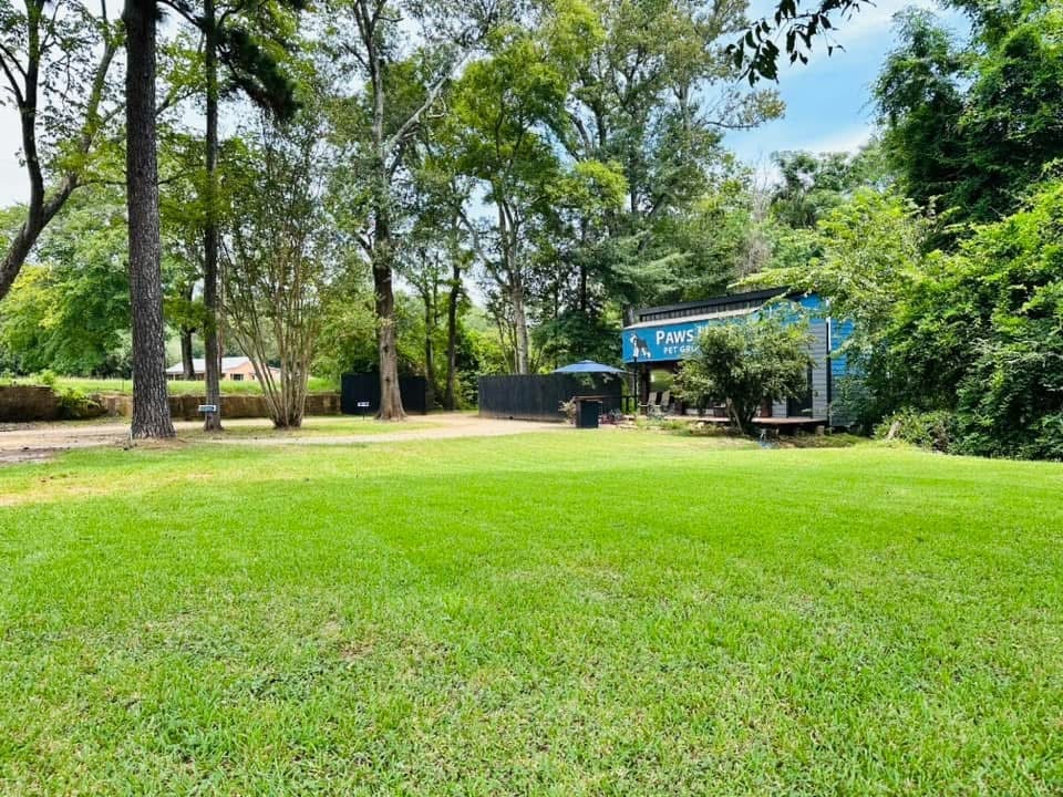 Open grassy park area with tall trees and blue pavilion structure